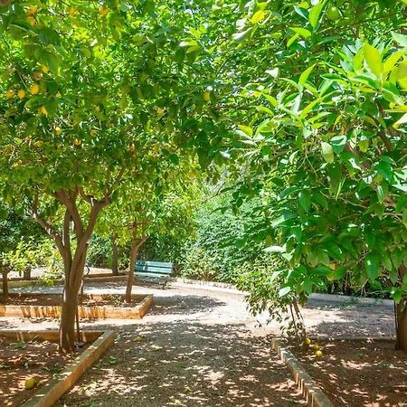 Voula'S Secret Garden Studio Athen Exterior foto