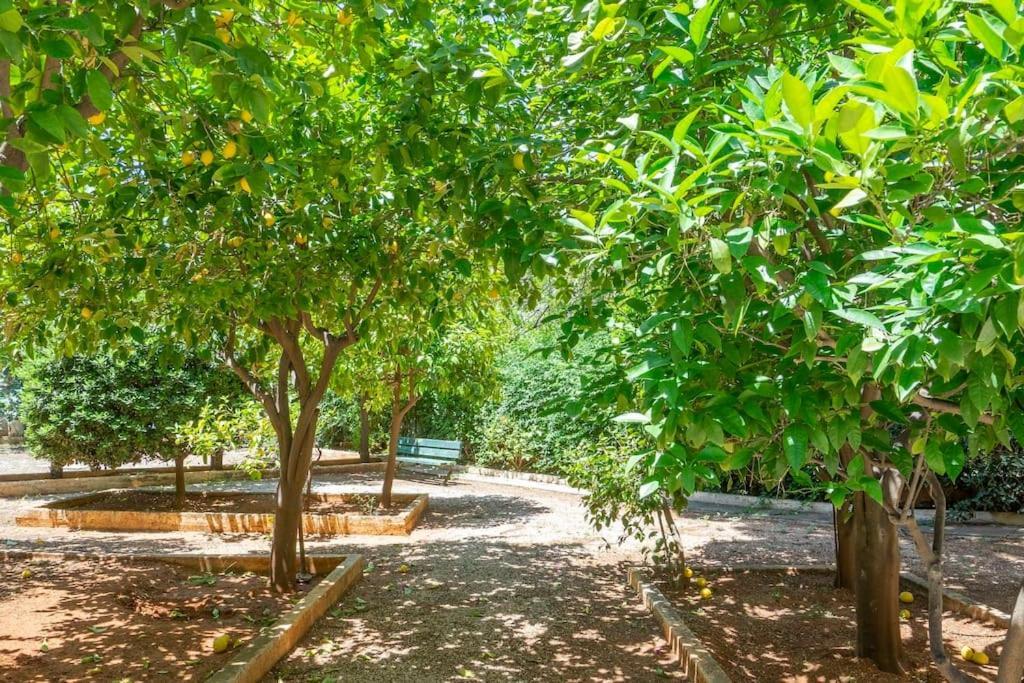 Voula'S Secret Garden Studio Athen Exterior foto